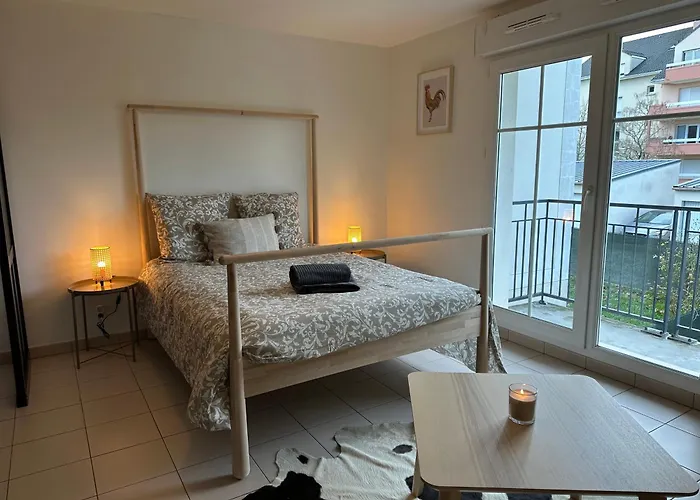 Grand Studio Cozy Lumineux