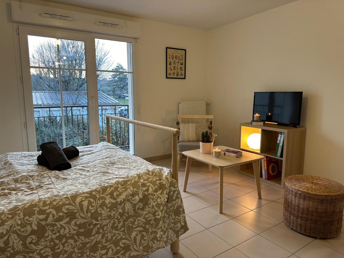 Grand Cozy Lumineux *