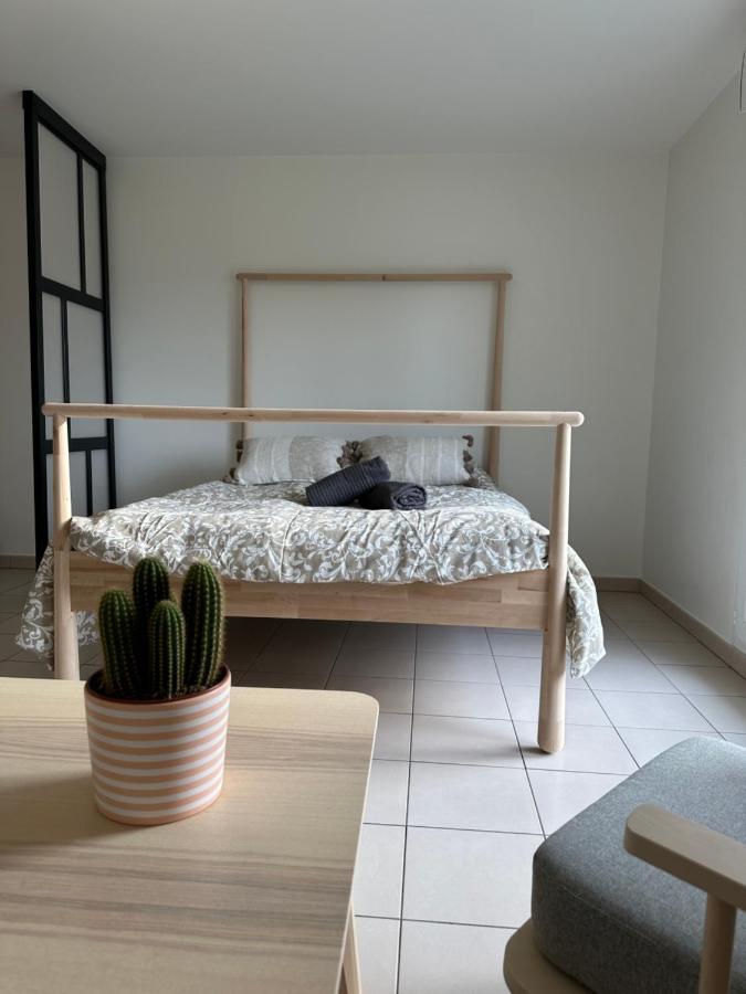 Grand Cozy Lumineux Apartment *