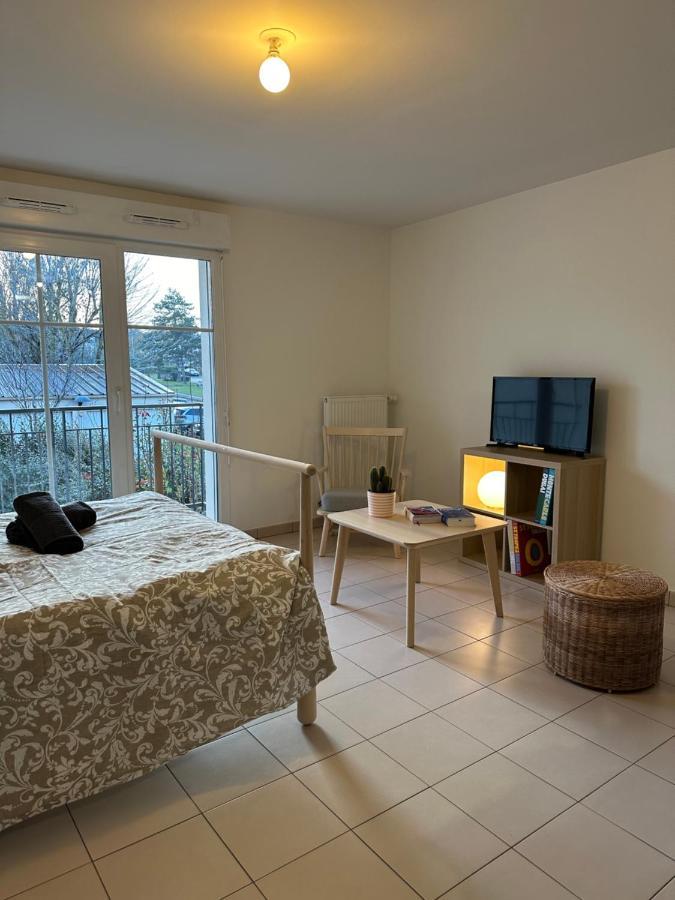 Grand Cozy Lumineux Apartment Villabe